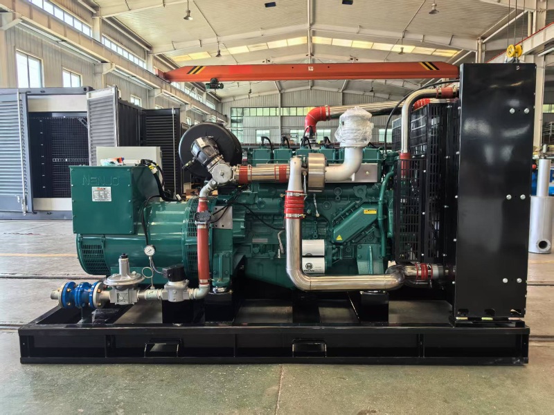 Biogas Generator Set