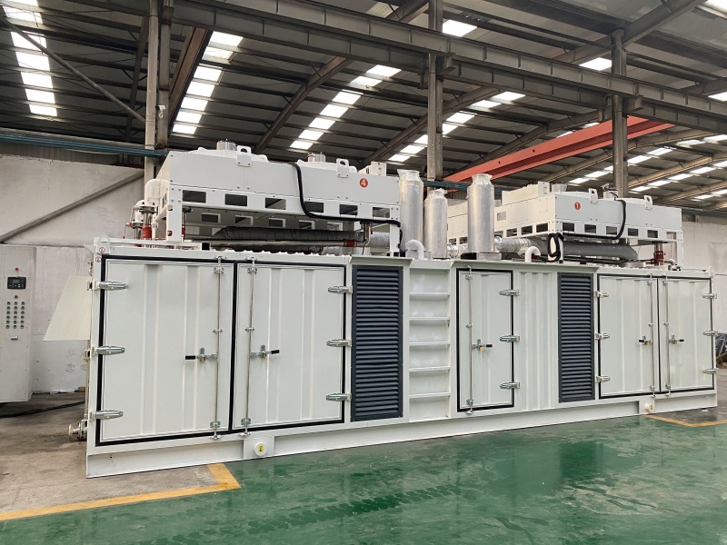 Biogas Generator Set