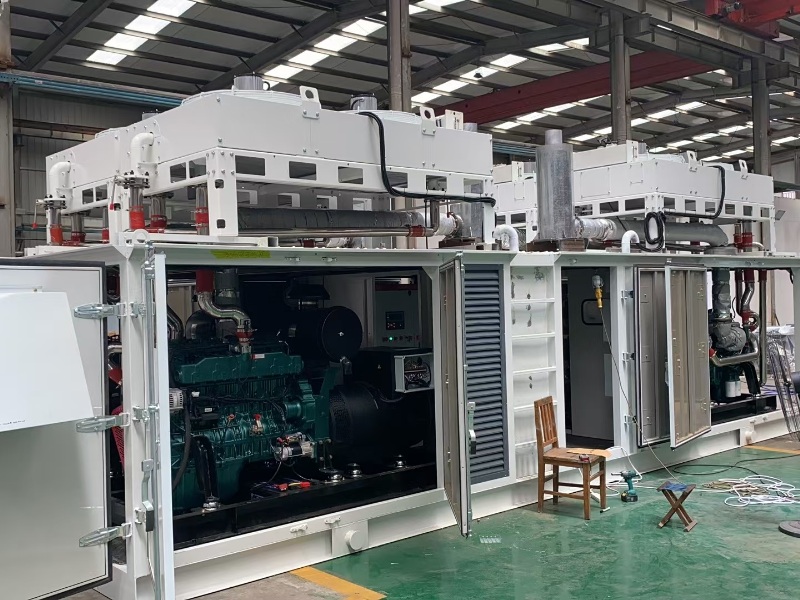 Biogas Generator Set