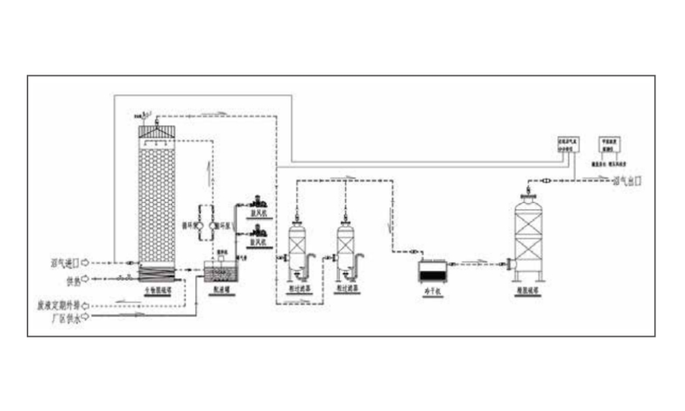 Biogas desulfurization and high value utilization