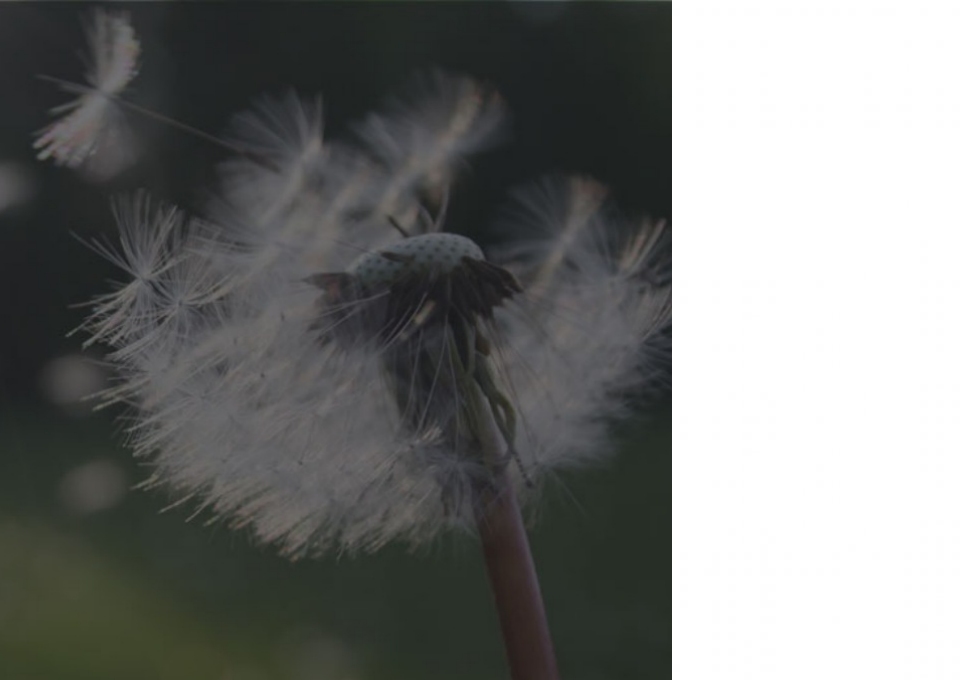 Shandong Bevizer Environmental Protection Technology Co., Ltd